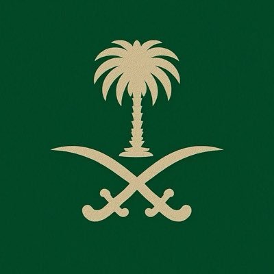 rayaalsalhi's profile picture. Software Engineer ⌨️| Digital Media 🎥