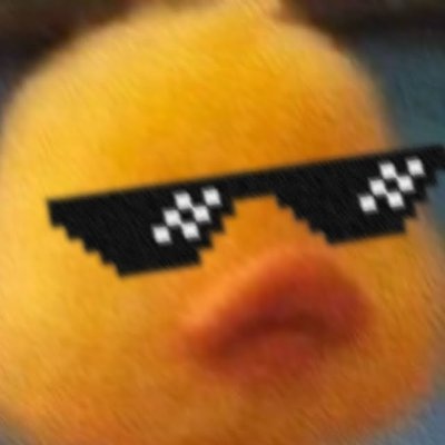 Lexdysicskcots's profile picture.