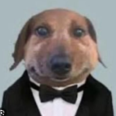 weenween420's profile picture. 19 he/him | alt: @weenween42