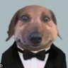 weenween420's profile picture. 19 he/him | alt: @weenween42