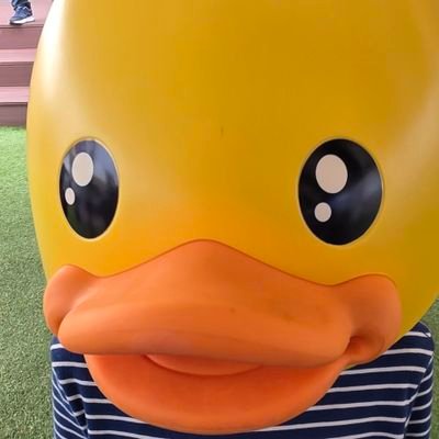 georae_inging's profile picture. 판매완료된건 삭제/비매너는 차단
I'm deleting what's been sold
english⭕ paypal⭕