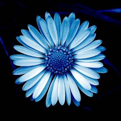 Web3Vibes372718's profile picture. All about CRYPTO in one space: News, Trading, Airdrops