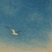 tern Profile picture