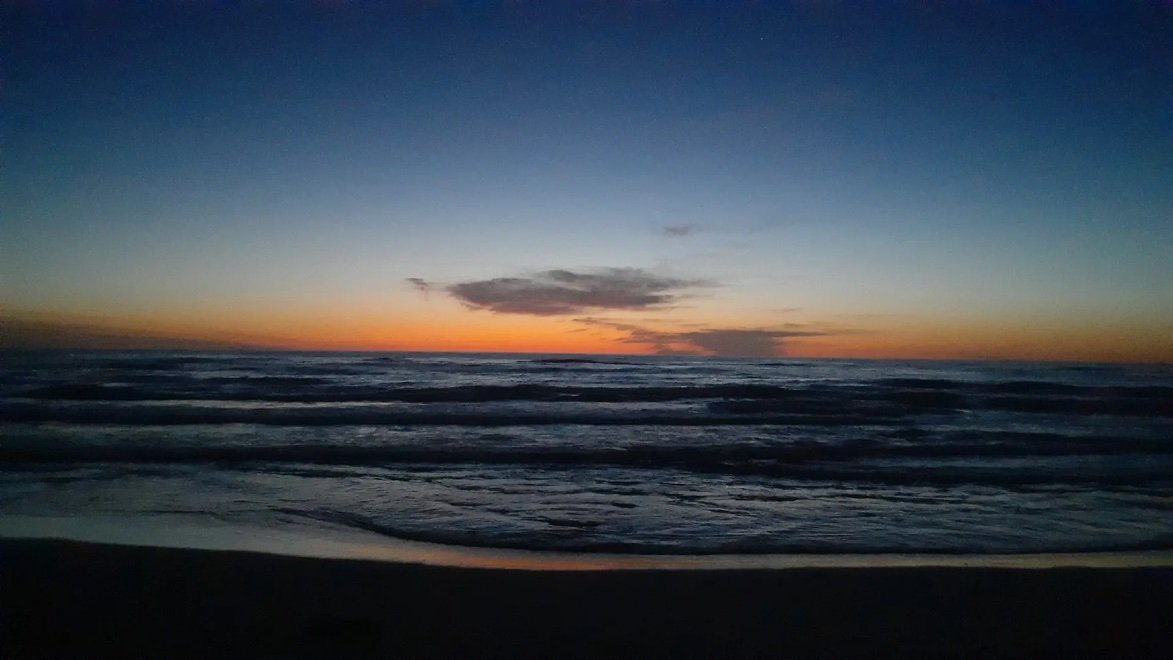 kikuchitak1nlh's profile picture. 