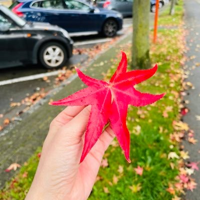 JadyMCosta's profile picture. Cristã - Deus é a ROCHA da minha Salvação! Mãe de Gêmeas 👧🏻👧🏻🇧🇪🇧🇷.