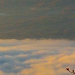 nhuytr393482's profile picture. 