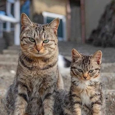 VAYO839765's profile picture. 