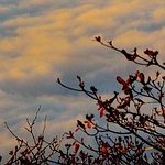 mkopliu35311's profile picture. 