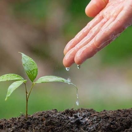 MUHAMMET6567444's profile picture. Rabbim, Bana göndereceğin her hayra muhtacım