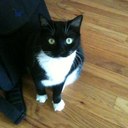 Jo morris - @JoMorris94 - Twitter