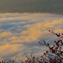 nuyrew82806's profile picture. 