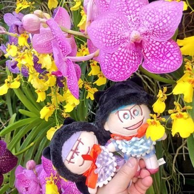 ai_hinata_oyako's profile picture. クロミちゃんが1番大好き❤
ホラー＆ハンドメイド＆漫画＆小説が大好き！
神尾楓珠くんとゲンジブの杢代和人くん推し❤
趣味が多趣味。
ASD、ADHDの8歳の男の子のママ。
未婚のシングル。
@tosakalove12 は、妹です😊
可愛い服が大好き♥️
くりまんじゅう大好き❤
