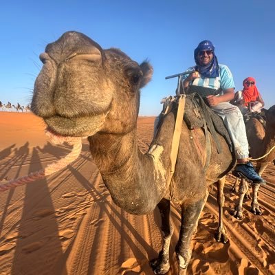 mobsauvage's profile picture. 🚫 Emotions off, Focus on profits