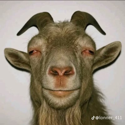 justice0906711's profile picture. Web3 enthusiast | Community builder | Looking for opportunities in moderation, admin or project management