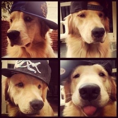 tsycarryuhome's profile picture. chemist ub’25