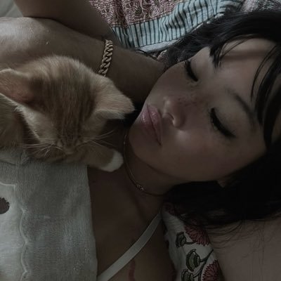 @lecdoll