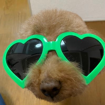 michi_shige0711's profile picture. 推しがまた増えました/ジャイアンツ坂本くん6🐰🧡/スノ⛄️🖤💚/NEWS💜💛💚