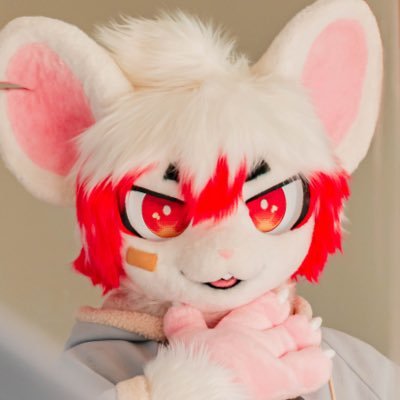 @sasu145