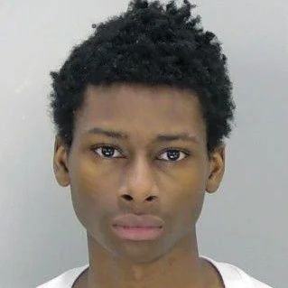 H4NGM4NN's profile picture. el psy congroo