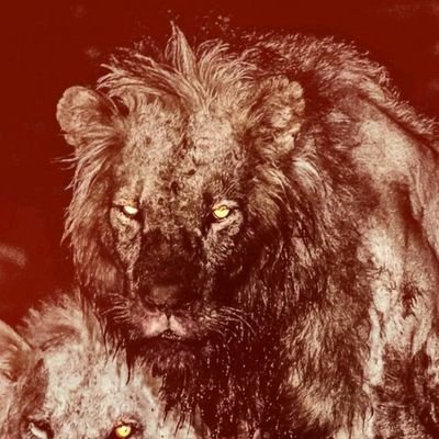 batmanrazique's profile picture. All I Wanna Do Is Go The Distance...