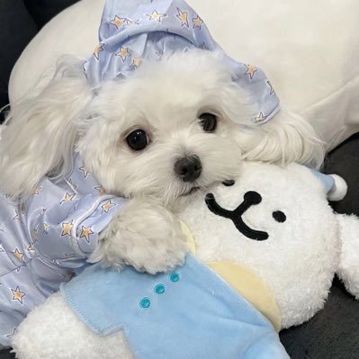 xing_ria's profile picture. 중장르ㅣ🏐ㅣmiscellaneousㅣ🧡