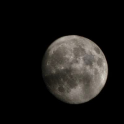 yururung414537's profile picture. 