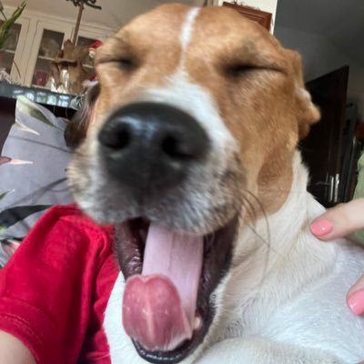 kellyfakh's profile picture. 🇱🇧 📍🇸🇳