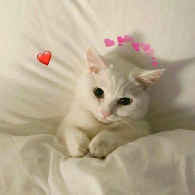 testrabobbygg's profile picture. รีวิว: #กอกอเทสระบบ 🗳️