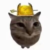 hotdog43491's profile picture. HDking
