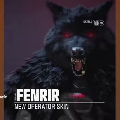 fstrfenrir's profile picture. • 6k+ on TikTok • 100+ on youtube
( @fastfenrir)