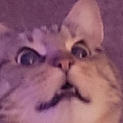 bbsrtrain's profile picture. 渠道官方偷溜安全可靠，下单提前预约客服，妹子均已上压，保证真实对版。