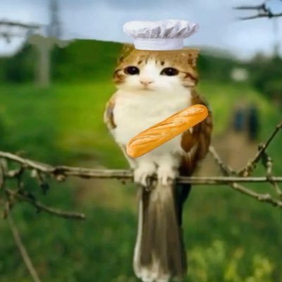 AdibDrippy's profile picture. would u hit on a sixteen?