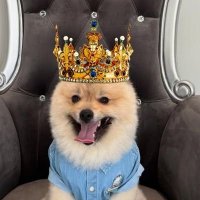 ครีษมายัน วสันตวิษุวัต เห มา ยัน (@flovemls14) 's Twitter Profile Photo