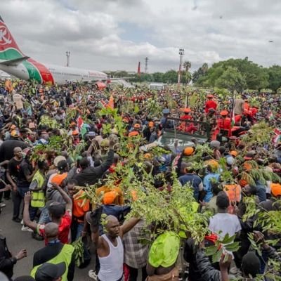 angatia_idd's profile picture. web tech app