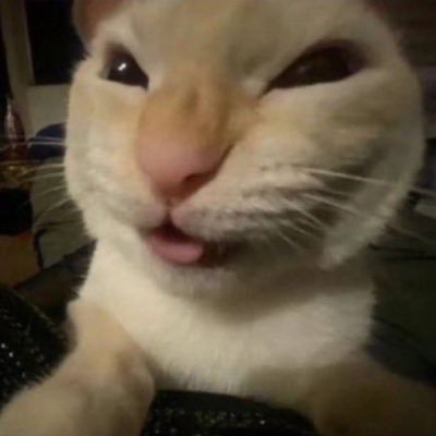 w___w1111s's profile picture.