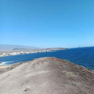 PedroDi94153473's profile picture. 