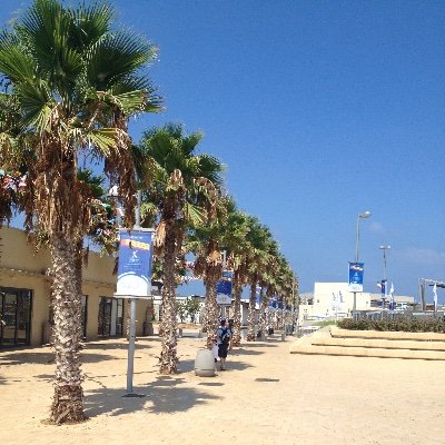 Nichtsistgut's profile picture. Stop the bomb, rise ☀️ the lion 🦁, free Iran! 
Ethical Monotheist, Christian Zionist 🇮🇱