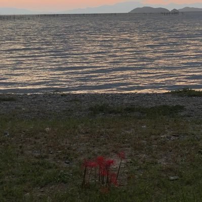 NxwwGFV1aO1644's profile picture. 