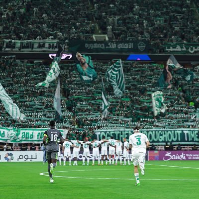 MagedYahya50101's profile picture. 