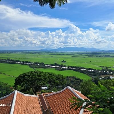 gt260686's profile picture. con đường màu xanh