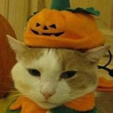 DirtyBelly_625's profile picture. yeet