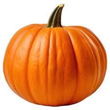 Jacklondon21732's profile picture. I am Jack o lantern  I celebrate Halloween with whiskey and vodka, sometimes pop in neighbours for trick or treat also still waiting to be accepted into heaven