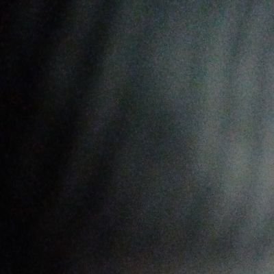 official25232's profile picture. Hello, I'm David (aka David Nemeti or Alphablocks 2025), Make Sure To Follow Me Twitterers!, But Make Sure To Unfollow Alphablocks Because They Are Non-Good