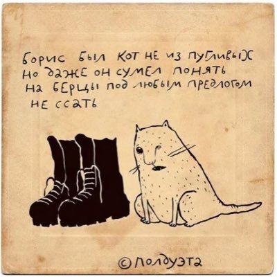 viksenite's profile picture. 