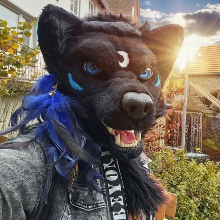 Orion_Dornklaue's profile picture. ⛤🌕 Loupgaru 28 Mond Jahre / 🐺 Werwolf Therian| Asatru⛤   🇩🇪  PN friendly.