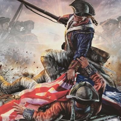 1776_Defender's profile picture. constitutional patriot