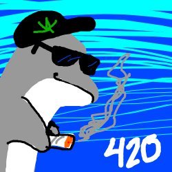 xobenaaa's profile picture. 