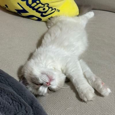 bbuengg03's profile picture.