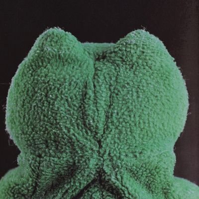 pawlejob's profile picture. @lofrotomy freak loser account                                       
18+ follows but i dont rt porn .