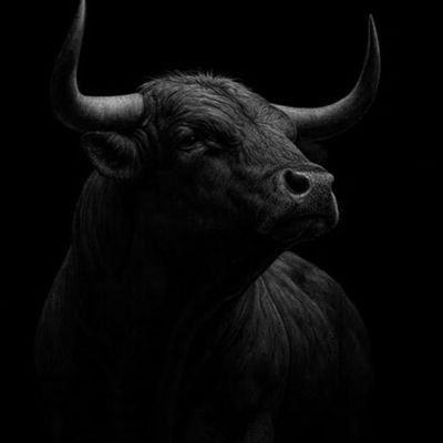 TheBullonSol's profile picture. Ca: AcENZyMm3dTwWWyyn2wKK4rzCxEf3F2irYMaWvifpump